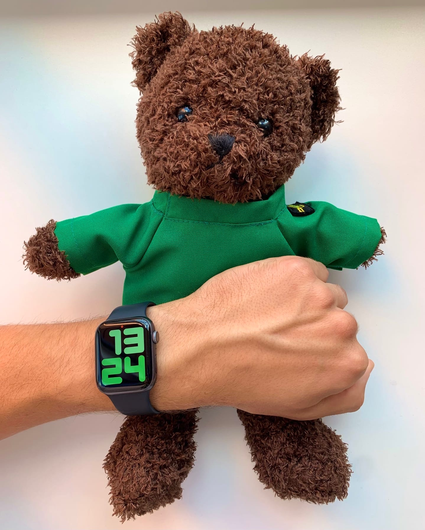 Bear