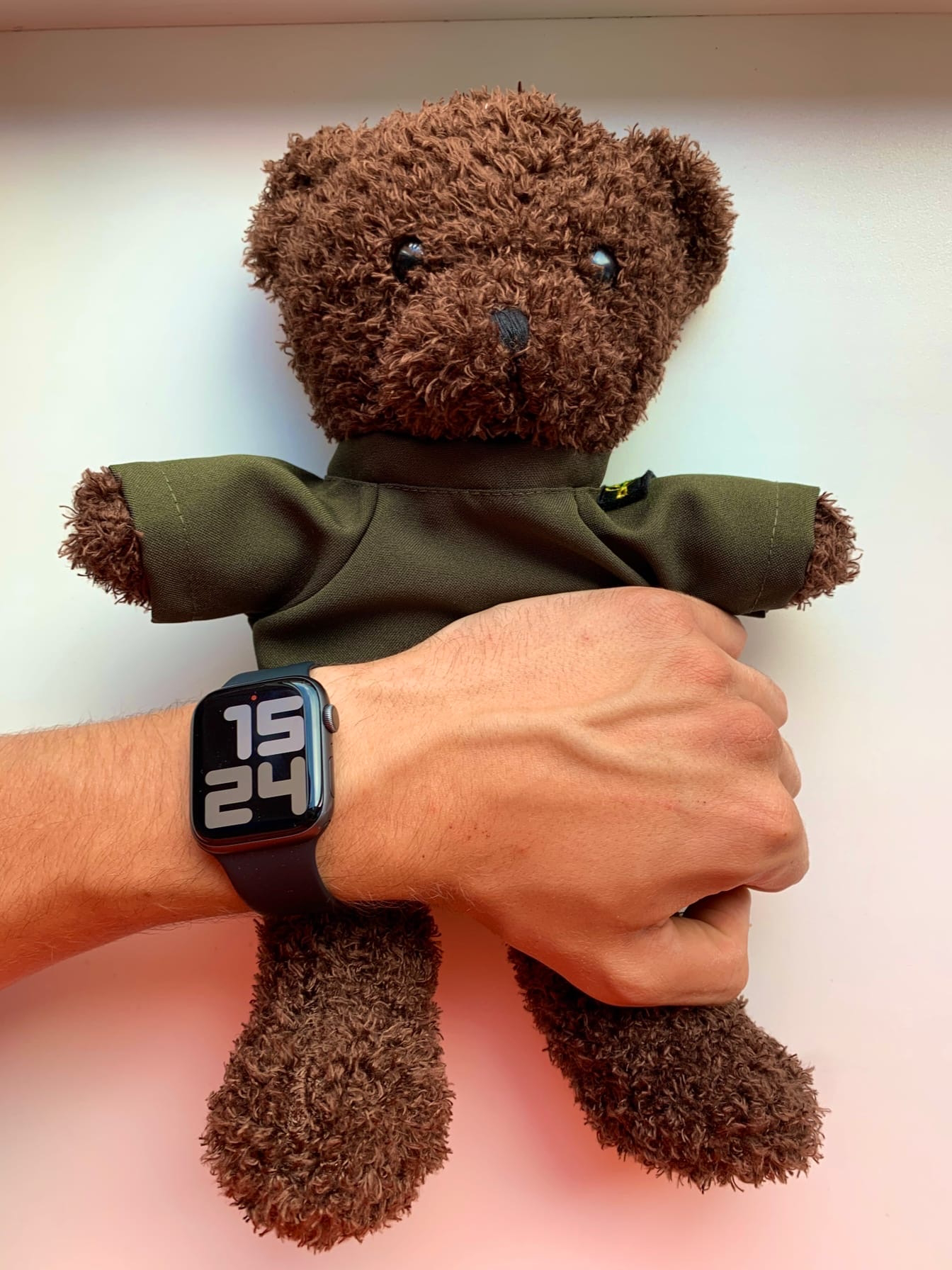 Bear