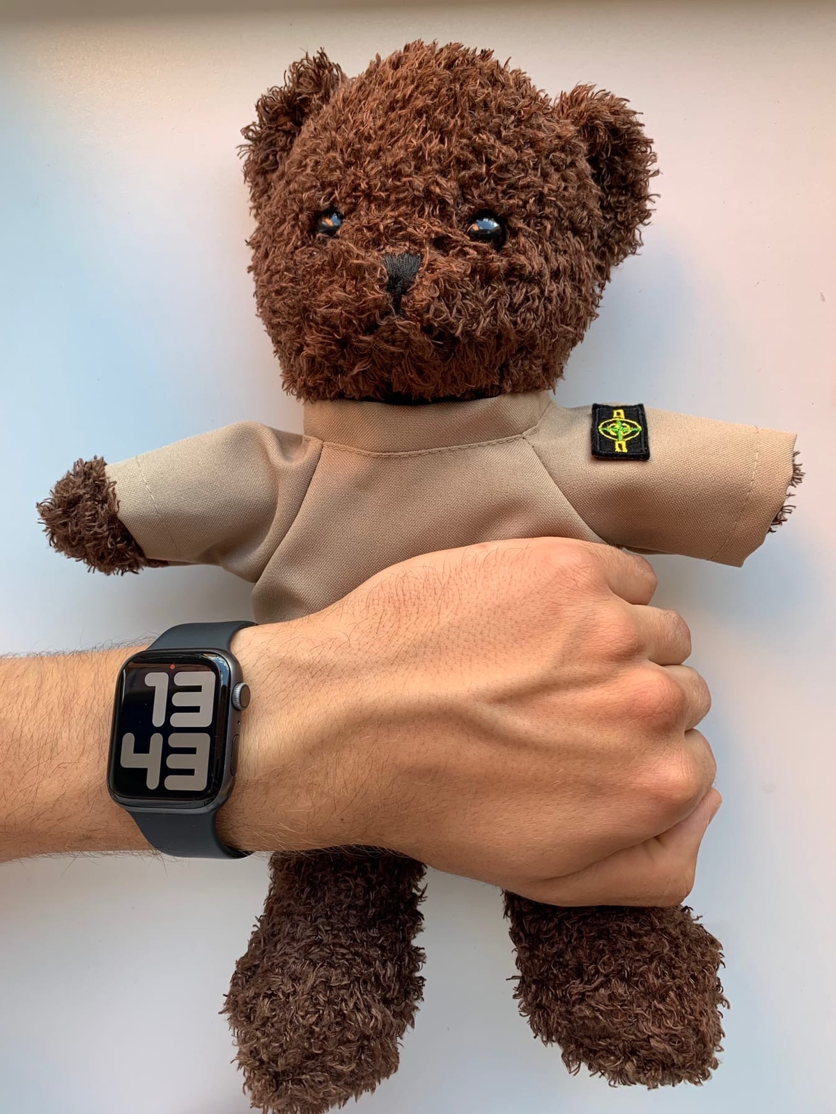 Bear