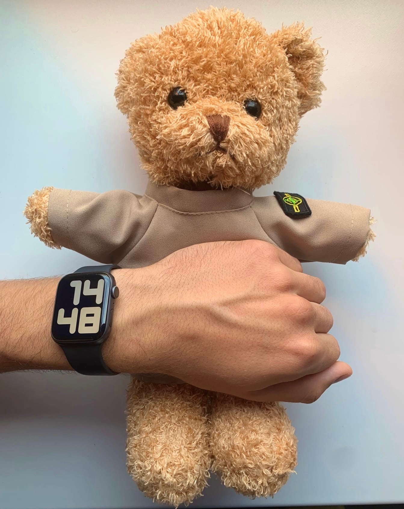 Bear