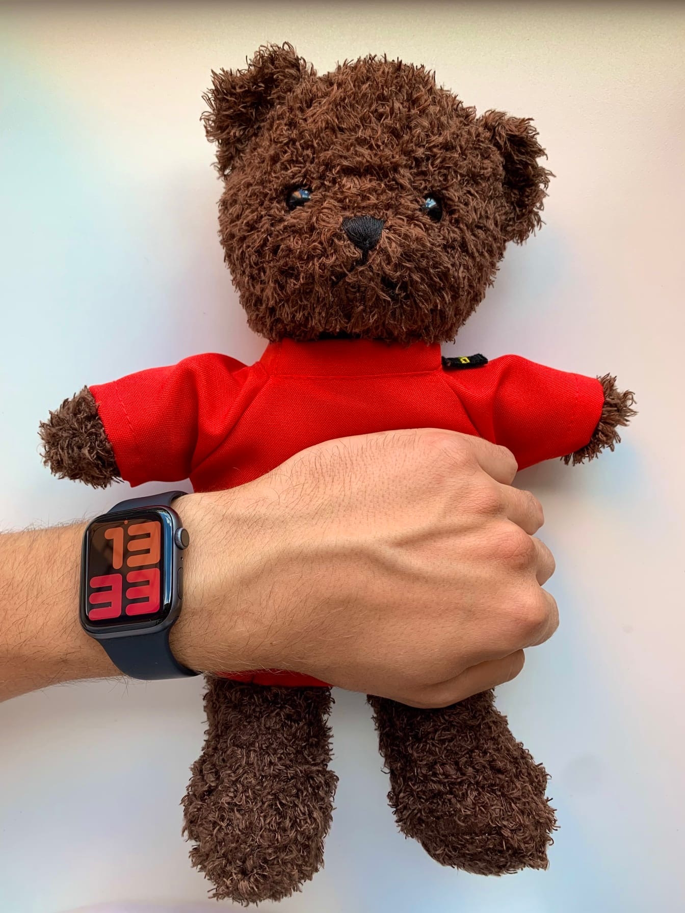 Bear