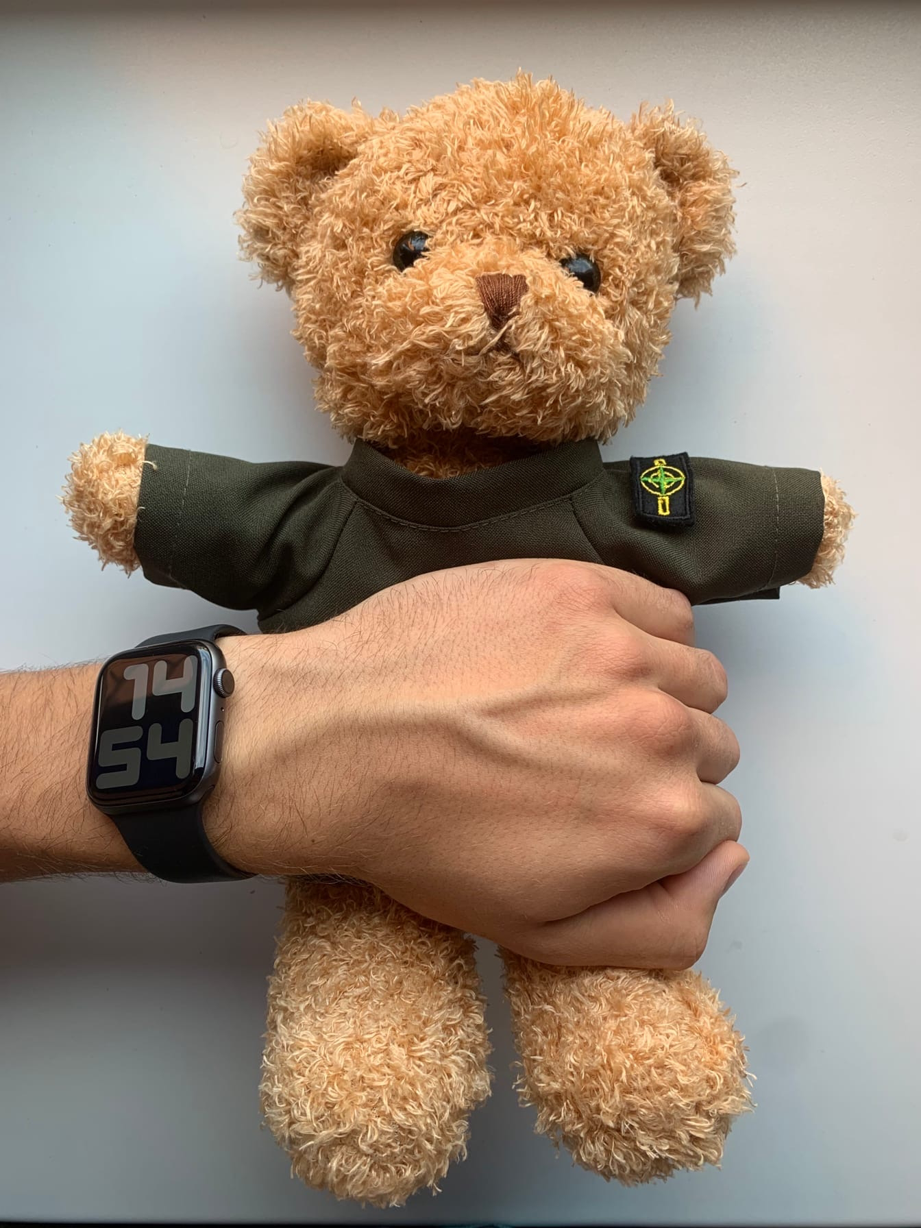 Bear